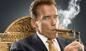 Image result for Arnold Schwarzenegger