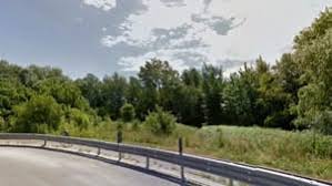 Trend Google: fiume
