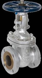 SHARPE, 1 in, CF8M Stainless Steel, Gate Valve - 802EN3 ...