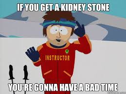 Kidney stones suck!!!! - MyLesPaul.com via Relatably.com