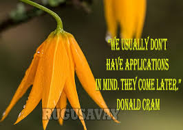 Donald Cram Quotes. QuotesGram via Relatably.com