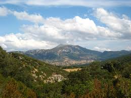 obarenes
