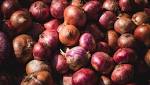  Banish Infection With These 5 Powerful All-Natural Antibiotics
