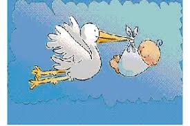 Αποτέλεσμα εικόνας για αναπαραγωγικο συστημα