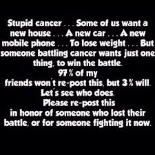 Quotes About Losing Someone To Cancer. QuotesGram via Relatably.com