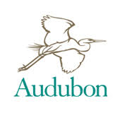 Resultado de imagen de Audubon Society