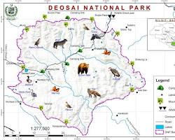 Image of Wildlife in Deosai National Park