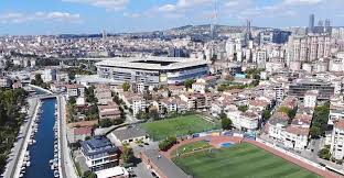 Trend Google: fenerbahçe - górnik zabrze