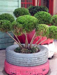 Image result for flowers on tires