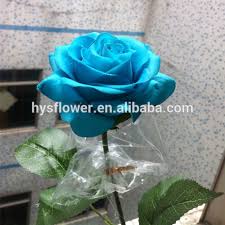 Image result for karangan bunga mawar biru