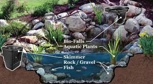 Image result for organisms and their environment