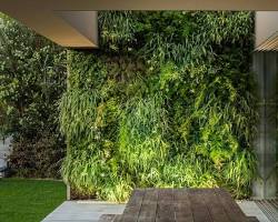 Gambar Rumah tropis modern dengan taman vertikal