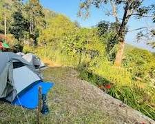 Image of Mirik Camping