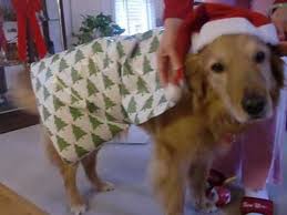 Image result for cats wrapping christmas gifts