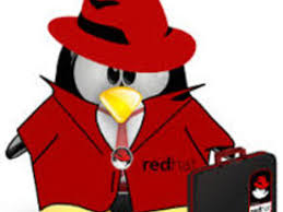 Hasil gambar untuk red hat