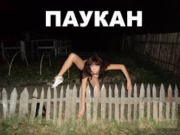 Картинки по запросу Ослик, суслик, паукан