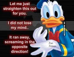 Image result for donald duck memes