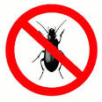 Commercial Pest Control In Portland