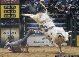 Image result for rodeo funnies