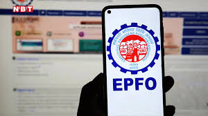PF Interest Payouts: Why 8 Crore Employees Can Expect Faster Credit Times This Year