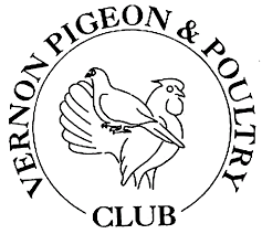 Image result for ameraucana poultry club