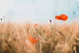 Margriet - News update