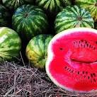 Does watermelon need to be refrigerated uk