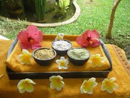 Hasil gambar untuk SPA BALI
