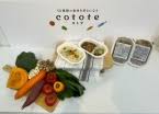 グリコの新戦略！冷凍幼児食「cotote」で食育革命？！ - Imagen principal del artículo