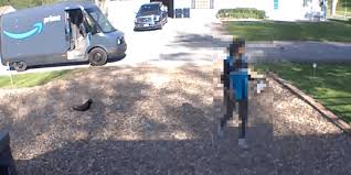 Amazon driver 'steals' elderly cat during delivery as family ...