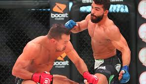 Beef Squashed? Patricio 'Pitbull' Says Michael Chandler Apologized at UFC 314 Hotel