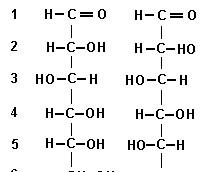 Image of linear form of glucose