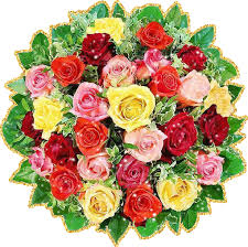 Картинки по запросу анимация