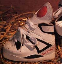 Image result for minature horse shoes