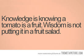 Knowledge vs. Wisdom - The Meta Picture via Relatably.com