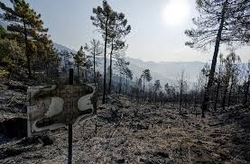 El Mundo - News update
