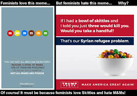 Résultat de recherche d'images pour "feminist m&m analogy"