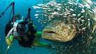 Best places to go scuba diving