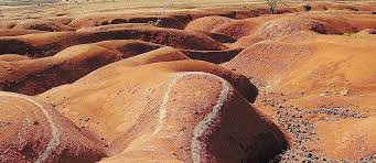 Resultado de imagem para nordeste visto de cima imagens