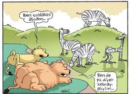 Erdil Yaşaroğlu ile ilgili görsel sonucu