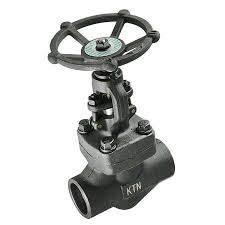 Globe Valve Manufacturer: Class 800, API 602 | KTN