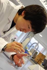 Image result for Entomology Studies