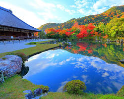 天龍寺の紅葉の画像