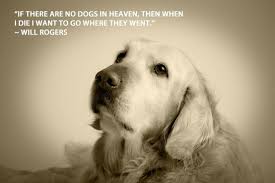 Famous Dog Quotes Lover. QuotesGram via Relatably.com