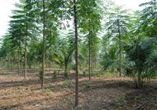 Image result for ehsq nagarjuna group