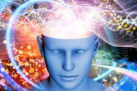Resultado de imagen de PSILOCIBINA EN EL CEREBRO