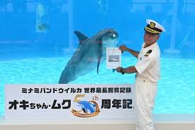 琉球新報デジタル - News update