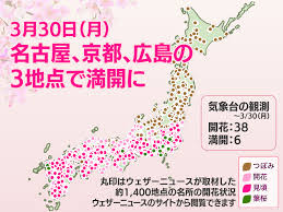 今日の桜開花状況 3月30日(月) 名古屋、京都、広島の3地点で満開に