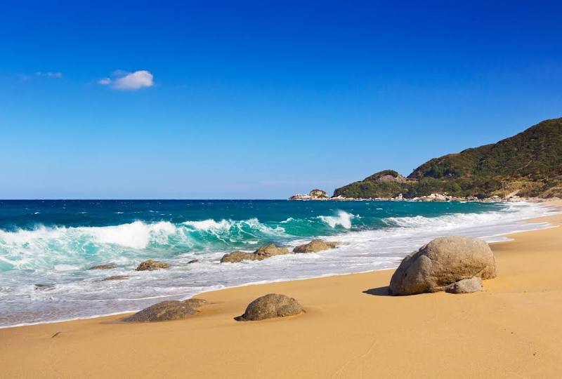 Yakushima Island