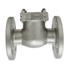1/2" Stainless Steel Swing Check Valve, 150# Flanged TCI ...